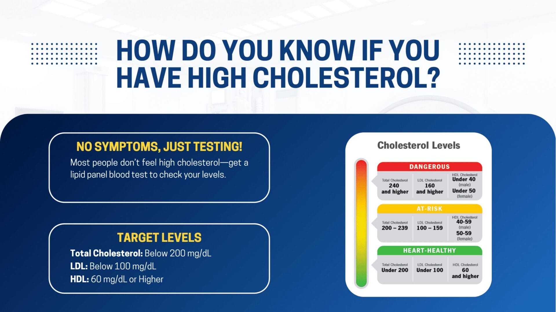 High cholesterol awareness infographic