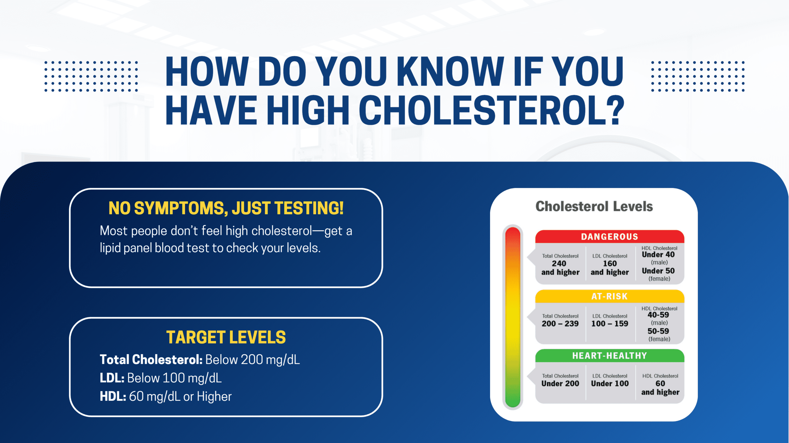 High cholesterol awareness infographic